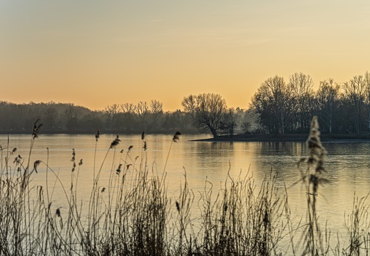 DSC08775-HDR